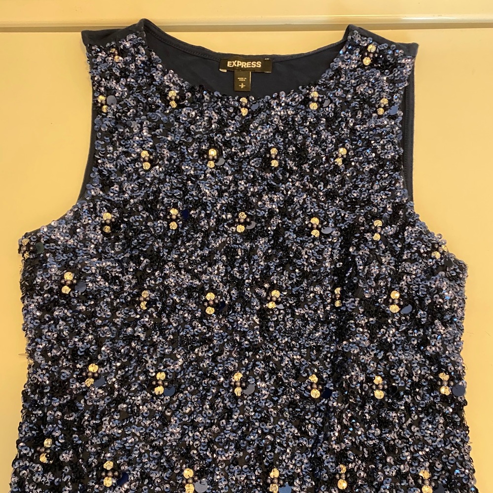 Express Sparkle Top